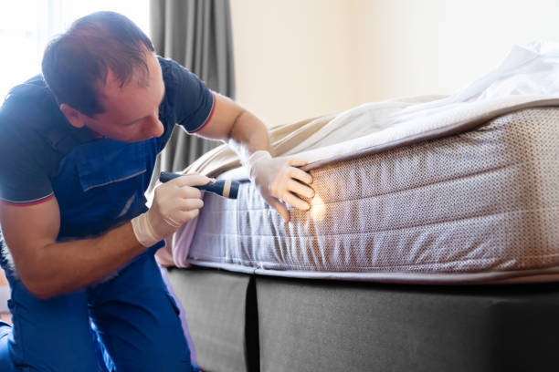 Best Bed Bug Extermination  in Brighton, MI